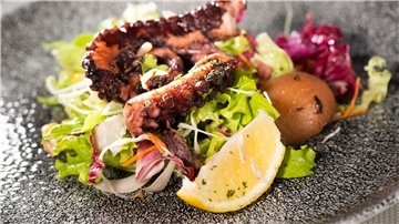 Oktopus auf dem Teller: So bereiten ihn Gastronomen aus Butjadingen zu  Gegrillter Oktopus liegt auf einer Salatbeilage auf einem Teller.