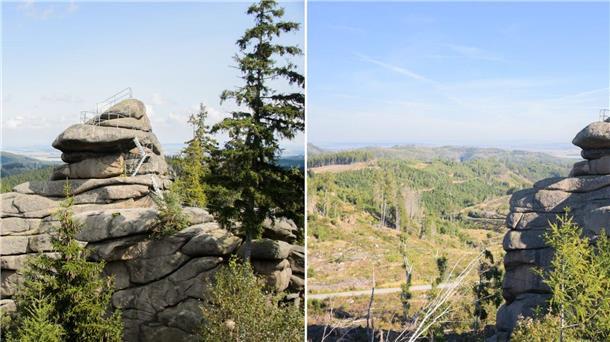 Fotos zeigen, wie der Klimawandel Deutschland verändert Der Ottofelsen im Harz 2014 und 2023: Seit 2018 gibt es im Harz ein immenses Baumsterben. Damals warf ein Orkan zahlreiche Bäume um. Das Totholz in Verbindung mit der Trockenheit in den vergangenen Jahren führte zu einer besonders starken Ausbreitung des Borkenkäfers und zu einem massiven Fichtensterben.