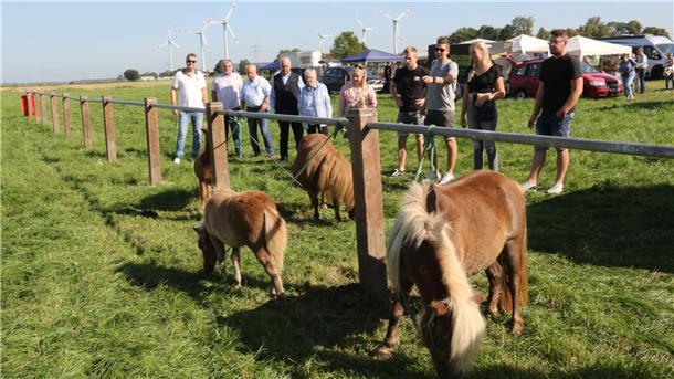 Ponys und Menschen