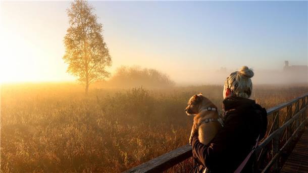 Zeitumstellung neu gedacht: Besser im April statt im März Der physiologische Tageszyklus des Menschen orientiert sich am Sonnenaufgang. (Archivbild)