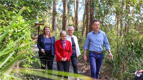 Australien schafft riesigen Nationalpark für Tausende Koalas Der Premier von New South Wales, Chris Minns, hat sich stark für den riesigen Nationalpark eingesetzt.