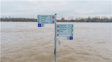 Der Radweg mit Beschilderung am Rheinufer im Ortsteil Mittelheim (Oestrich-Winkel) steht komplett unter Wasser.