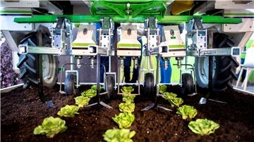 Der Roboter „Dino“ steht am Stand von Naio Technologies über einem Beet mit Salatköpfen auf der Landtechnik-Messe Agritechnica in der Messe Hannover.