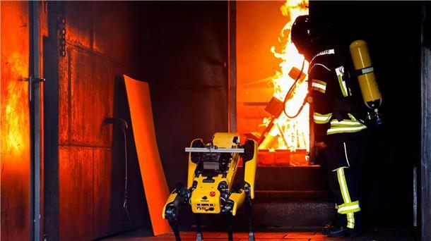 Ein Roboter trainiert für Waldbrände Der Roboter wird trainiert.