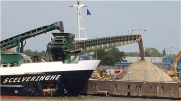 Ein Spezialschiff mit der Aufschrift „Scelveringhe“ entlädt über ein Förderband gewaschenen Sand direkt auf einen Kai in Bremerhaven; im Hintergrund Baumaschinen und Lagerfläche.