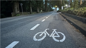 Ein Fahrrad-Piktogramm auf einer Straße.