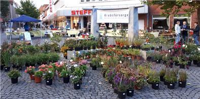 Der Staudenmarkt der Krebsfürsorge Bremervörde-Zeven am Gauß-Brunnen in Zeven.