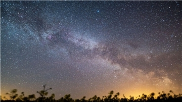 Der Sternenhimmel leuchtet über einem Rapsfeld. Laut Nasa könnte sich in den kommenden Monaten könnte ein Himmelsspektakel ereignen - eine sogenannte Nova-Explosion.