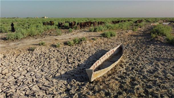 Der südliche Irak könnte wegen Wasserknappheit bald unbewohnbar werden.