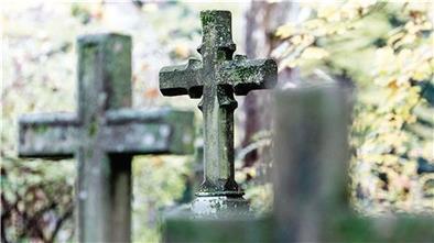Der Tod eines Hundes in Loxstedt bewegt die Gemüter. Doch nun ist klar: Er wurde nicht zu Tode gequält.