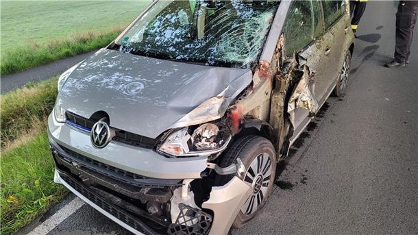 Zwei Pferde sterben bei Zusammenstoß mit Auto auf der B440 Der verunfallte VW war nicht mehr fahrbereit und musste abgeschleppt werden.