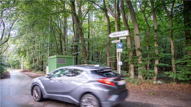 Der Wald, der verkauft werden soll, ist derzeit in vollem Grün im Hintergrund zu sehen.