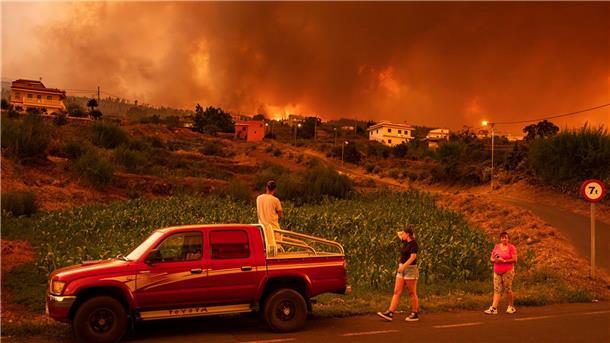 Brände in Europa und Kanada halten Zehntausende in Atem Der Waldbrand auf der Kanaren-Insel Teneriffa geht wohl auf Brandstiftung zurück.