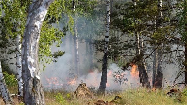 Waldbrand bei Jüterbog ausgeweitet - Gefahr in Nordsachsen Der Waldbrand in dem ehemaligen Truppenübungsgebiet bei Jüterbog ist immer noch nicht gelöscht.
