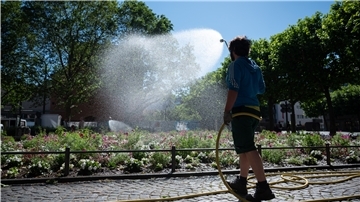 Der Wasserverband bittet um sparsamen Umgang mit Trinkwasser im Garten. Viel umweltfreundlicher ist es, Regenwasser zu nehmen. Foto: Gollnow/dpa