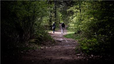 Der Wernerwald im Cuxhavener Ortsteil Sahlenburg gehört zu den vergleichsweise wenigen Wäldern im Cuxland. Gerade einmal gut acht Prozent der Landkreisfläche sind von Wald bedeckt.