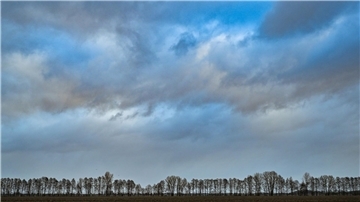 Der Winter war viel zu nass und zu warm.