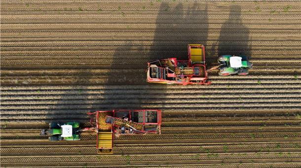 Landwirtschaft ohne Diesel? Die Suche nach Alternativen Derzeit ist offen, ob die Landwirtschaft bei der Umstellung auf alternative Antriebe auf staatliche Hilfe setzen kann.