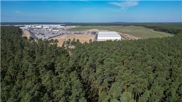Dichter Wald steht am östlichen Teil des Werksgeländes der Tesla Gigafactory.