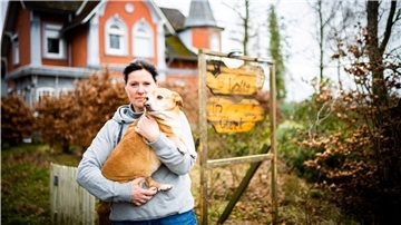 Die achtjährige Lotta war eine der ersten Pflegehunde von Doris Urban. Die Tierschützerin hat ihr Haus in Neuenkirchen im Land Hadeln nach der Hündin benannt: „Lotta im Glück“.