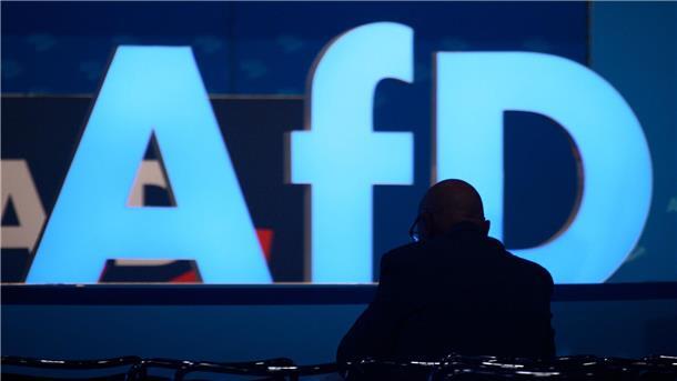 Fall Halemba beschäftigt AfD-Bundesvorstand Die AfD wird in Bayern als Gesamtpartei vom Verfassungsschutz beobachtet.