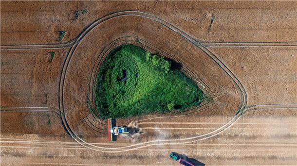 Die Agrarwirtschaft befürchtet, dass Landwirte künftig weniger EU-Geld bekommen. (Archivbild) 