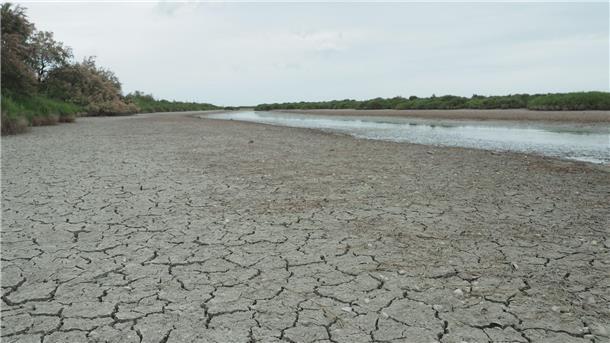 Die anhaltende Trockenheit hinterlässt ihre Spuren - in Frankreich wird das Wasser knapp.
