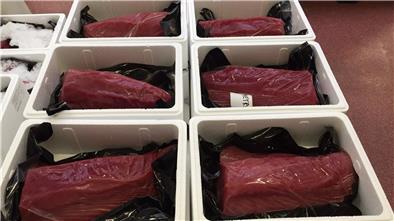Die aus dem Thunfisch gewonnenen Loins kommen mit minus 18 Grad in Bremerhaven an und werden dort für den Handel portioniert. Sensoren sollen künftig beim Auftauprozess helfen.