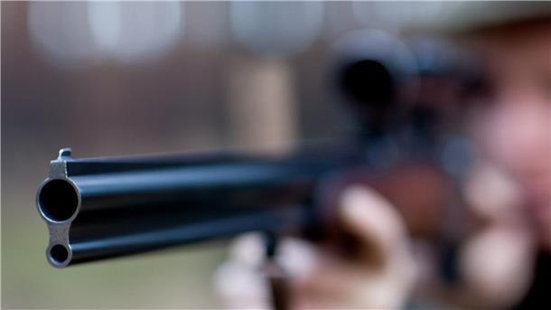 Die Ausnahmegenehmigung zur Jagd auf einen Wolf im Cuxland wurde nun endgültig bestätigt. 