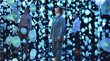 Die Ausstellung "Pixelwald Wisera" von Pippilotti Rist fasziniert als Audio-Video-Erlebnis in der Bremer Kunsthalle.
