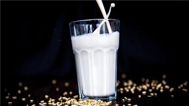 Milchersatz aus Hafer und Co. - gesund und nachhaltig? Die Auswahl an pflanzlichen Milchalternativen - etwa aus Hafer - ist vielfältig.