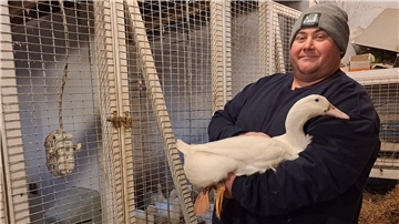 Bild von Geflügelzüchter Benjamin Penny im Stall mit einer weißen Ente auf dem Arm