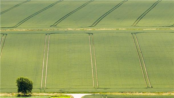 Gute Ernte trotz Wetterkapriolen bei Getreide und Raps Die Bauern sind trotz Wetterstress mit der Getreide- und Rapsernte zufrieden.