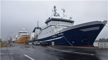 Die beiden Fangschiffe „Lodairo“ (hinten) und „Santa Princesa“ liegen im Bremerhavener Fischereihafen. Weil sie ihre Fangquoten bereits erfüllt haben, werden sie noch wochenlang an der Kaje bleiben müssen.
