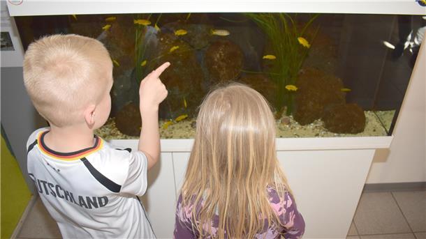 Zwei Kinder stehen vor einem Aquarium.