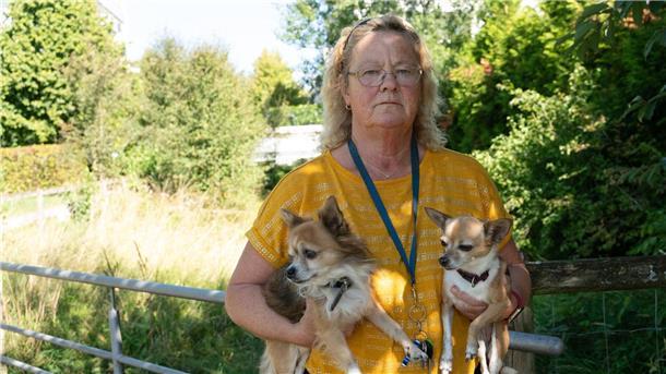 Koffer mit Leiche im Bach - Soko „Trolley“ vor einem Rätsel Die beiden Hunde von Petra Hanke witterten den Geruch der Kofferleiche schon früh.