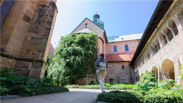 Legendärer Rosenstock blüht in Hildesheim Die berühmteste Rose Hildesheims erstrahlt wieder.