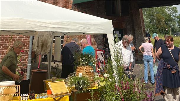 Bild von Besuchern beim Schaf- und Bienentag an der Moorseer Mühle.