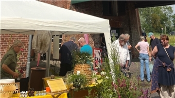 Bild von Besuchern beim Schaf- und Bienentag an der Moorseer Mühle.