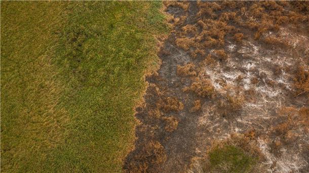 Rekordwaldbrände in Brasiliens Feuchtgebiet Pantanal Die Brände zerstören große Flächen.