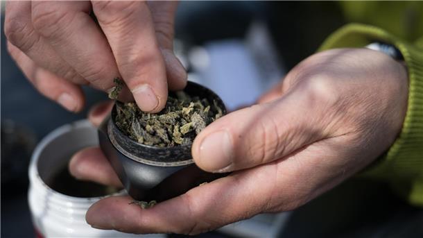 Cannabis Clubs: Grasanbau könnte sich verzögern Die Bundesländer hätten bislang keine klaren Regelungen für die Lizenzen von Anbauflächen für Cannabis aufgestellt und „bis auf wenige Ausnahmen“ noch nicht mal eine zuständige Behörde benannt.