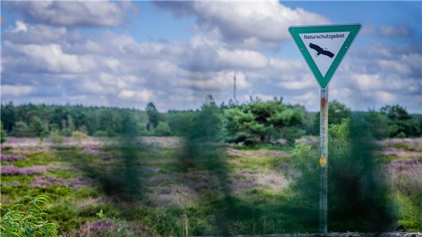 Die Cuxhavener Küstenheide ist ein großflächiges Naturschutzgebiet zwischen der Wurster Nordsee-Küste und Cuxhaven.