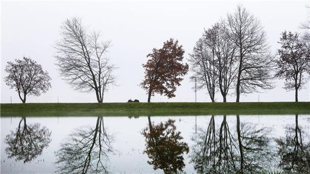 Die Donau führt in Baden-Württemberg Hochwasser. Das führt neben zahlreichen Unannehmlichkeiten auch zu diesem schönen Anblick. Hier spiegeln sich Bäume bei Riedlingen im Wasser.