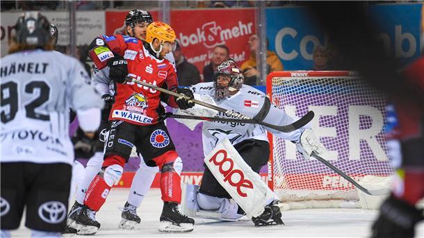 Zwei Eishockeyspieler kämpfen vor dem Tor um den Puck. Die Duelle zwischen den Pinguins und den Haien waren in der Hauptrunde immer hart umkämpft. 