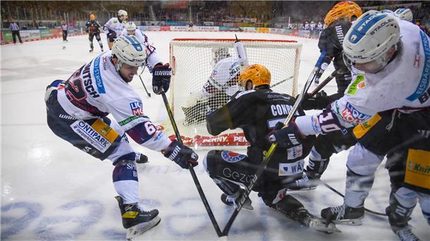 Die Eisbären Berlin und die Fischtown Pinguins waren das Maß aller Dinge in der vergangenen Saison. Am 11. Oktober steigt das erste Duell Meister gegen Vizemeister der neuen Spielzeit.