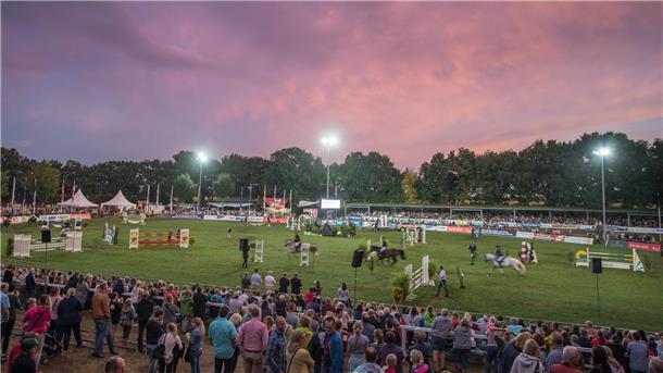 Blick auf einen großen Spingplatz bei Abendämmerung. Der Ticket-Vorverkauf für die Elmloher Reitertage ist gestartet.