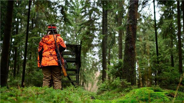 Streit um Jagdgesetz – Mehrheit für mehr Tierschutz Die Empörung bei vielen der rund 60.000 Jägerinnen und Jägern in Niedersachsen ist groß. (Symbolbild)