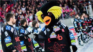 Die Enttäuschung sitzt tief, doch immer mehr kommt bei den Pinguins auch der Stolz auf eine überragende Saison durch, die am Mittwoch groß gefeiert werden soll.