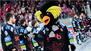 Die Enttäuschung sitzt tief, doch immer mehr kommt bei den Pinguins auch der Stolz auf eine überragende Saison durch, die am Mittwoch groß gefeiert werden soll.
