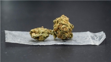 Die Erlaubnis zum Konsum im privaten Raum soll nur „eine erste Etappe“ auf dem Weg zu einer umfassenderen Cannabis-Freigabe sein.